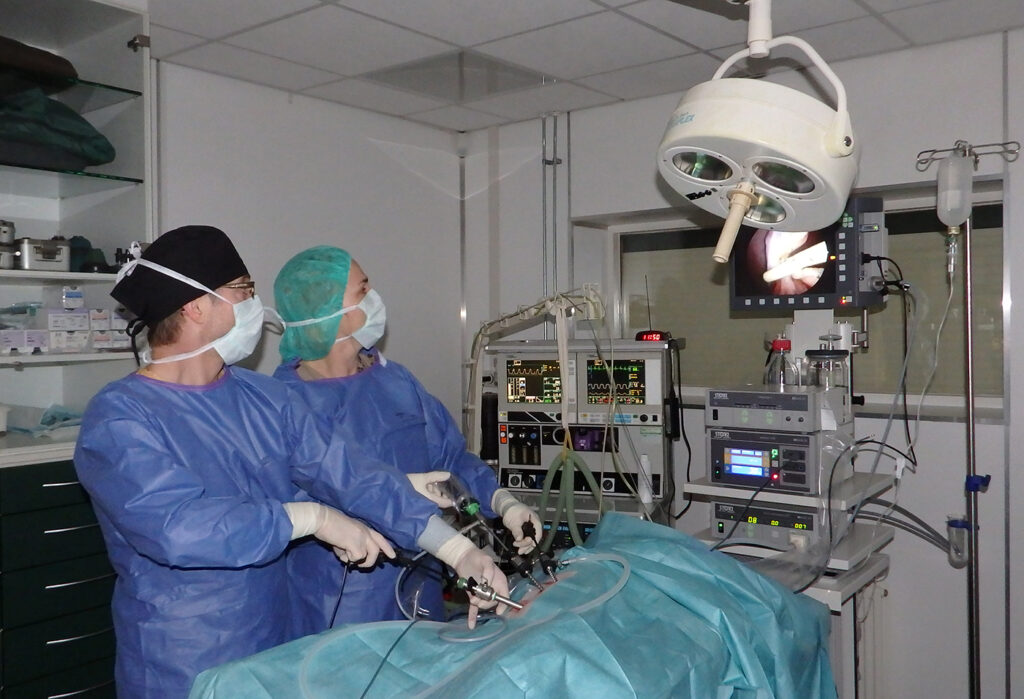 Reparatie veterinaire endoscopen